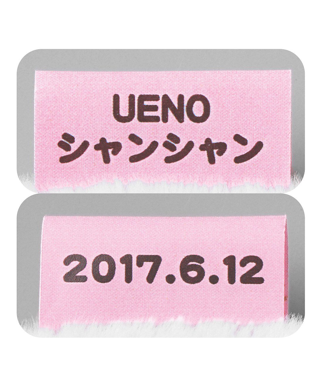 YOU+MORE!|パンダ部　上野パンダが大集合　十パン十色フェイスポーチ〈カンカン・ランラン・ホァンホァン・フェイフェイ〉の会|タグは表になまえ、裏に生年月日を書いています。（画像の商品は別商品です）