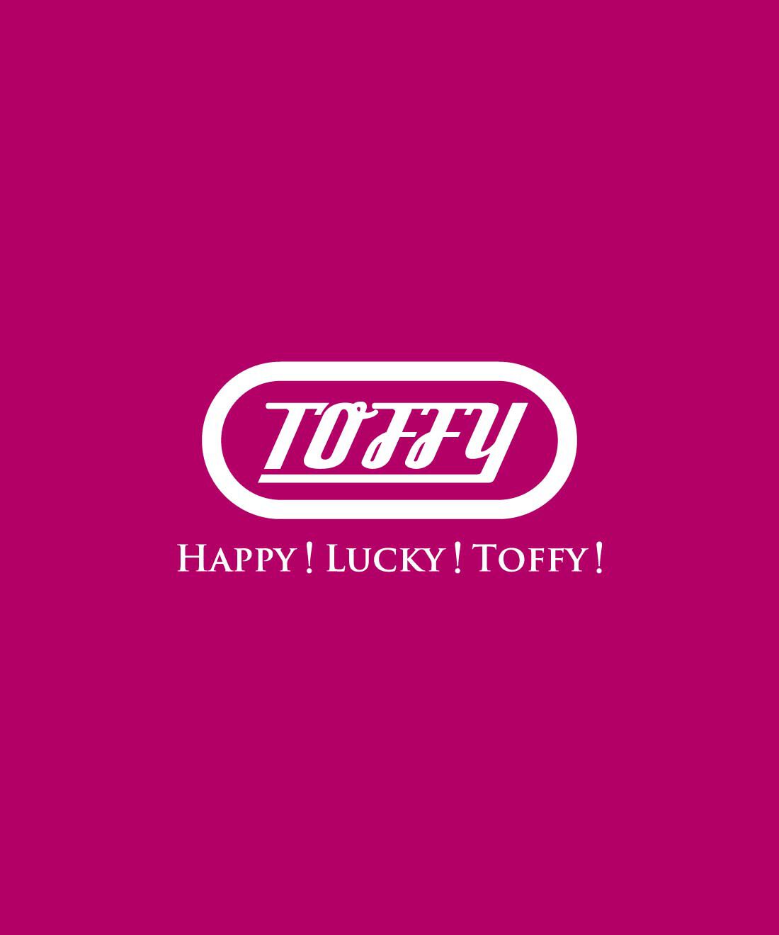FELISSIMO PARTNERS|Toffy アツアツ食材も冷たい氷もおまかせ　耐熱ブレンダー