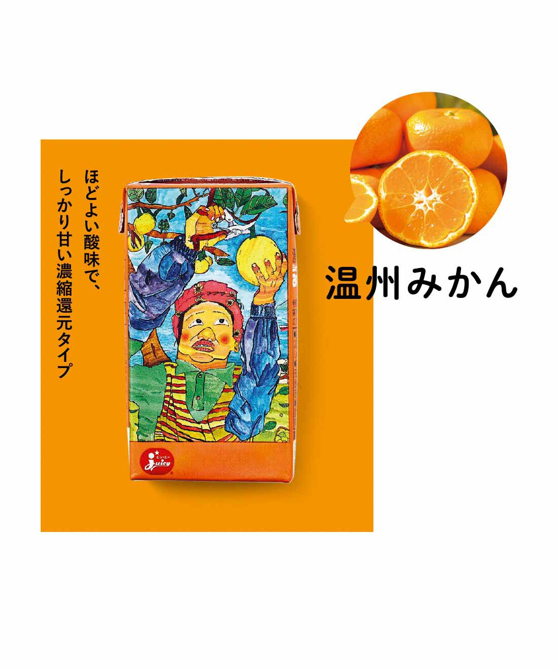 純農|純農　果汁100％！ きゅんと甘酸っぱいみかん大好きさんの国産柑橘ジュースアソートの会（6回予約）|「熊本県のみかんをおいしさも栄養素もそのまま飲んでもらいたい」との思いで開発され、昭和48年に給食での提供が始まりました。今でも熊本県と鹿児島県の小中学校で、年間100万本以上が飲まれています。