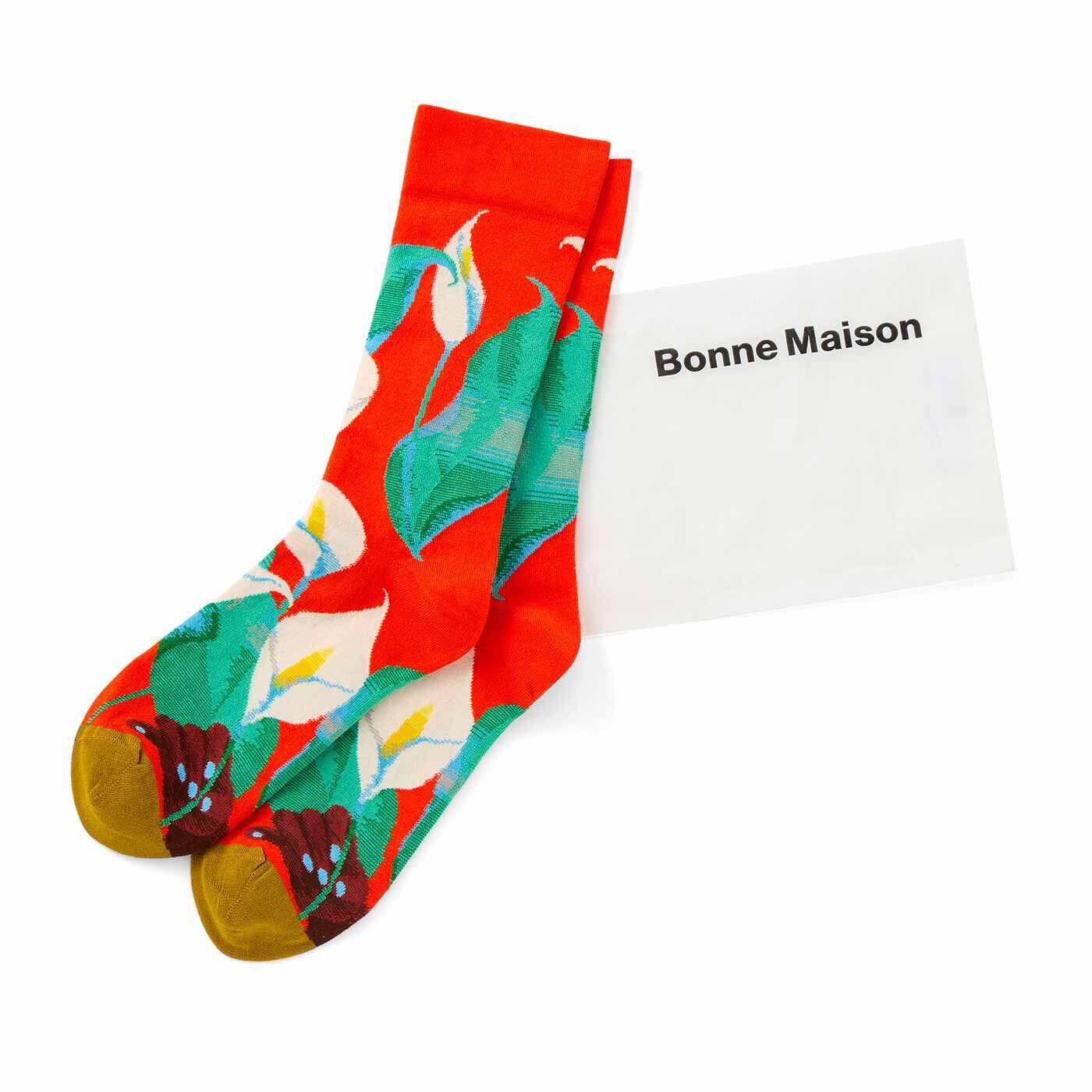 フェリシモの雑貨 Kraso | BonneMaisonフランスの豊かな感性が紡ぐアートな靴下