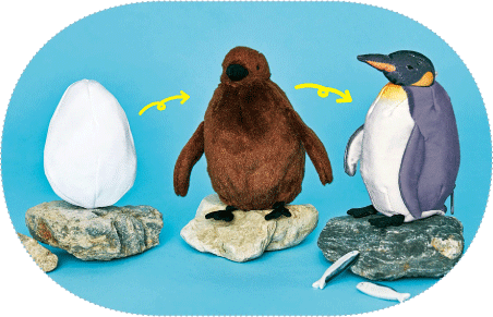 YOU+MORE!　卵&rarr;ヒナ&rarr;成鳥に！？ オウサマペンギン3変化ぬいぐるみ
