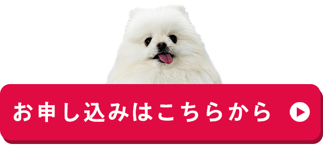 お申し込みはこちらから