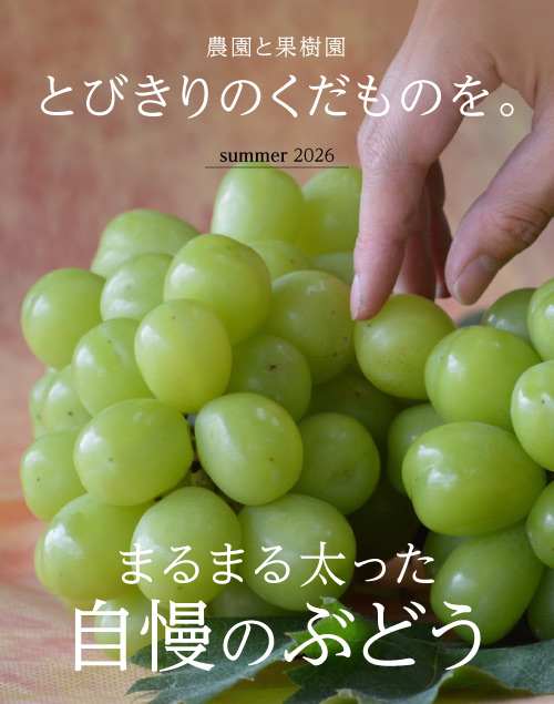 フルーツ＆野菜