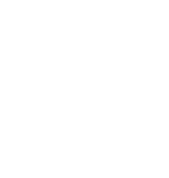 特別価格&送料無料キャンペーン実施中