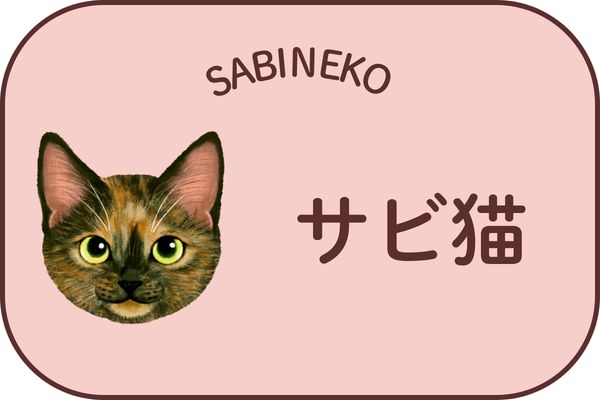サビ猫